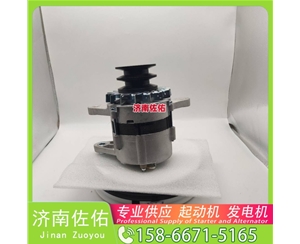 山东4280005645起动机20409228发电机 斗山 DB/DL WP4.6 锡柴 CA4DF 斗山｜DX215｜DB58 卡特 336D2 C13 玉柴 YCK05 潍柴 WP2.3 启动机