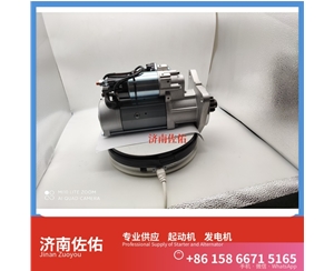 山东1001916325起动机800141670 发电机 Zoomlion ZLJ5290THBE WP12